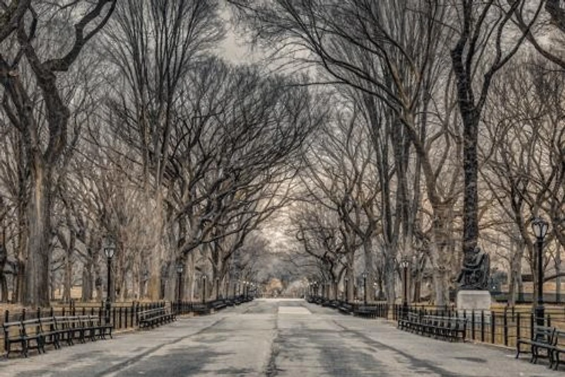 New York Central Park