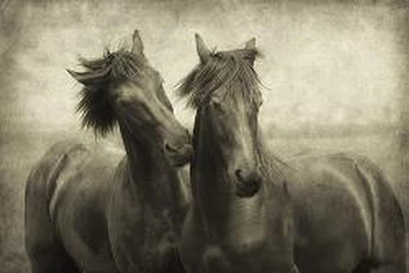 Lars Van De Goor - Horses Don't Whisper,They Just Talk