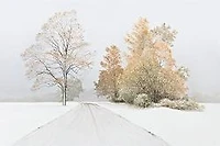 Autumn Snofall-Volkov  