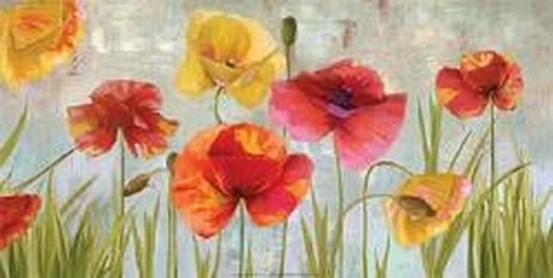 Happiness-Drako Fontaine  