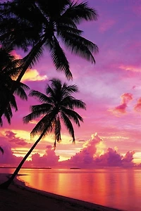 Tahitian Sunset  