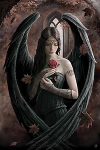 Anne Stokes - Angel Rose  