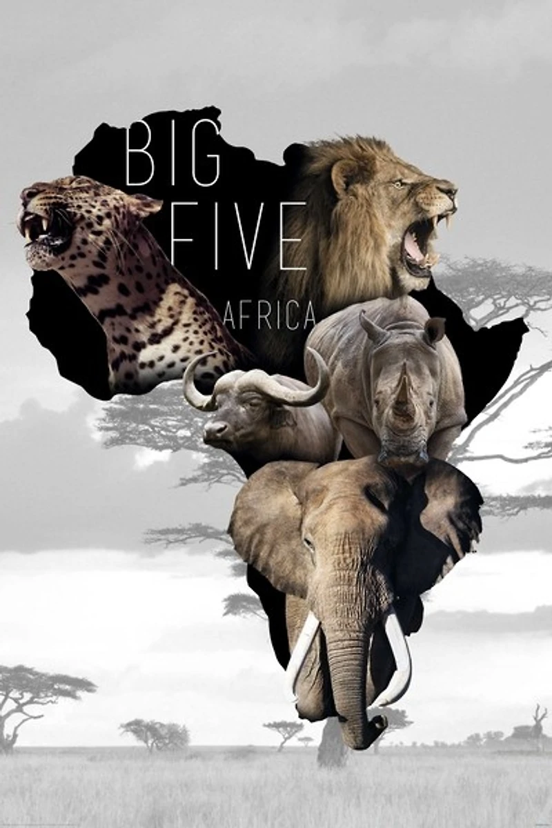 The Big Five  