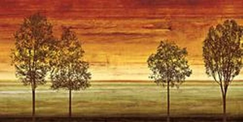 Chris Donovan - Sunset Vista II