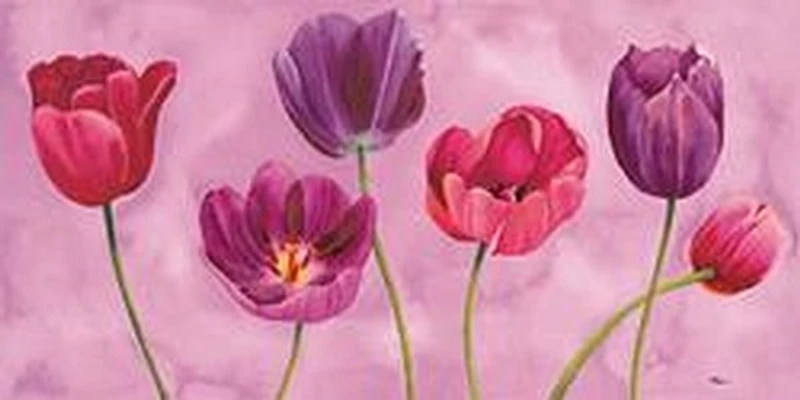 Pink Primavera