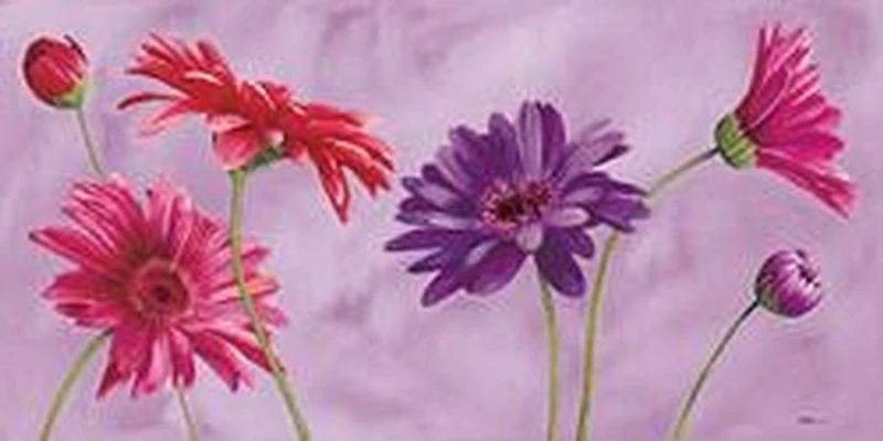 Purple Primavera