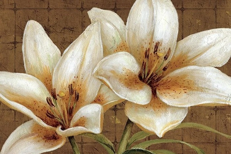 Daphne Brissonnet - White Gold