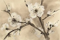 Chris Paschke - Spring Blossom III  