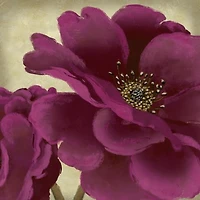Linda Wood