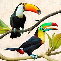 Teo Rizzardi - Best Friends