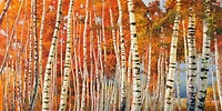 Adriano Galasso - Betulle d autunno