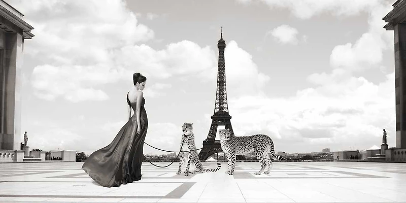 Julian Lauren - Trocadero View