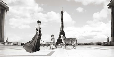 Julian Lauren - Trocadero View