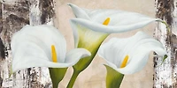 Jenny Thomlinson - True Nature