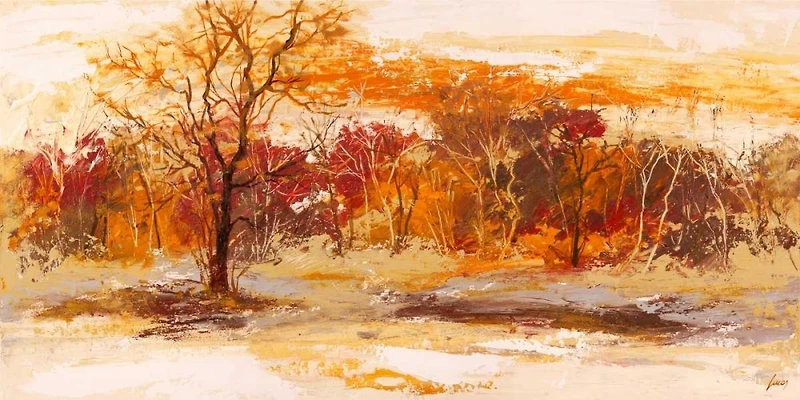 Lucas - Foresta II