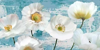 Leonardo Sanna - Washed Poppies (Aqua)