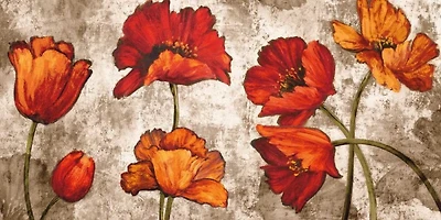 Brian Francis - Poppy Paradise