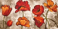 Brian Francis - Poppy Paradise