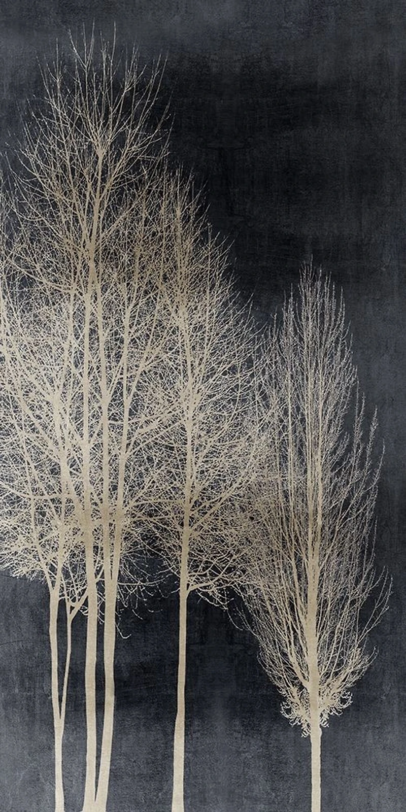 Kate Bennett