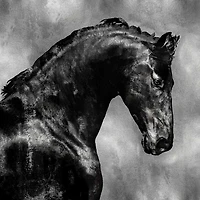 East Urban Home - Black Stallion On Gold