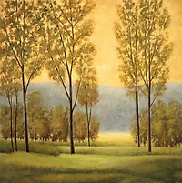 Chris Donovan