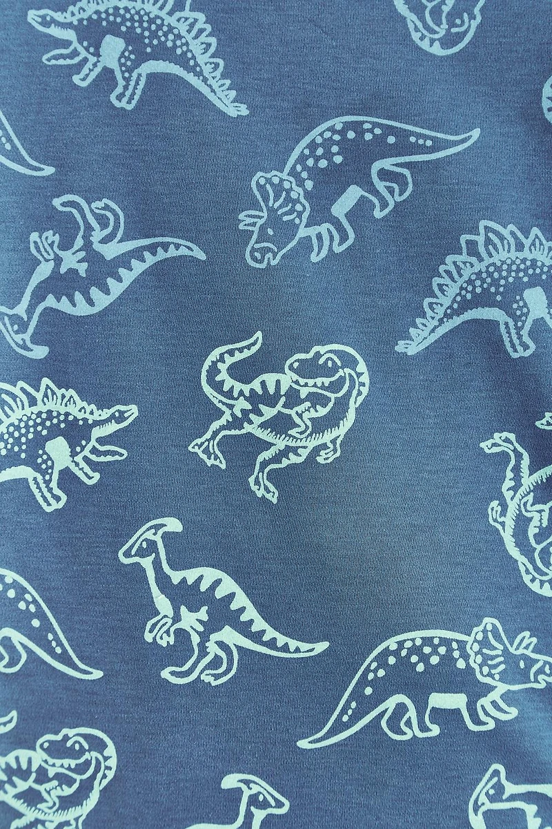 Rex Snug Two-Piece Pajamas