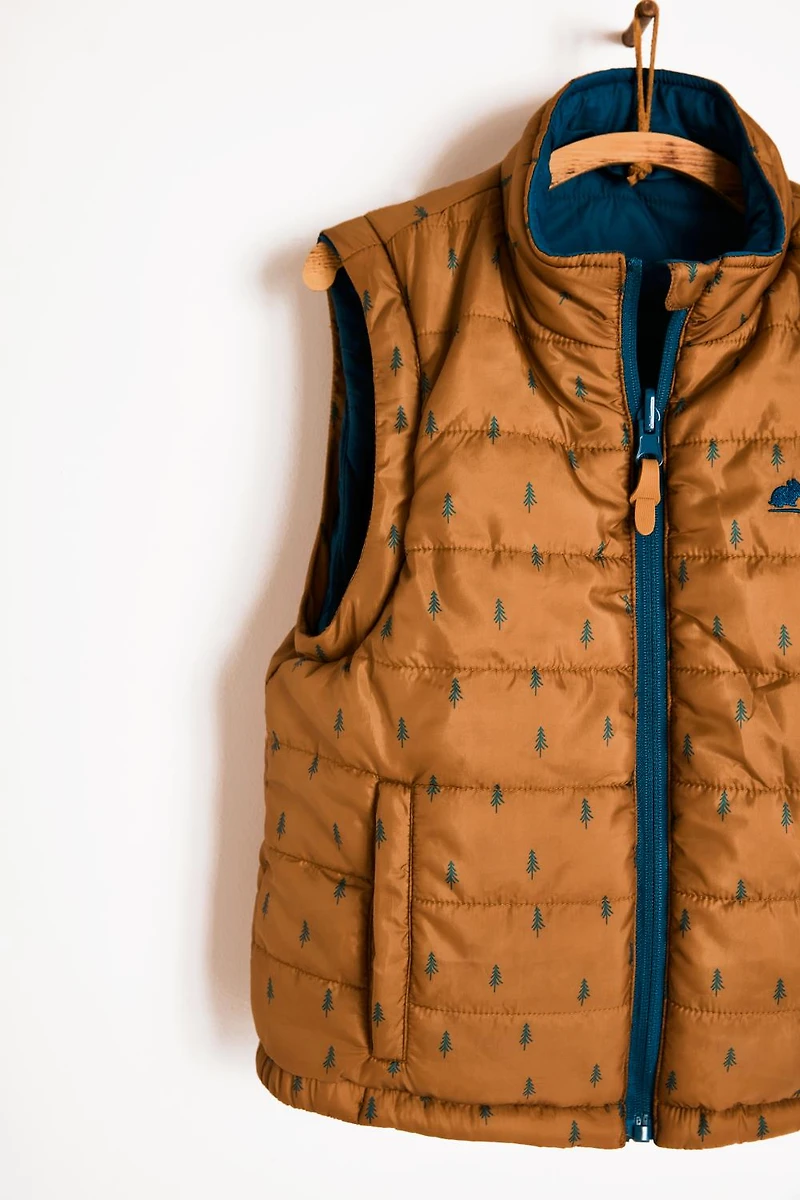 Reversible/Convertible Jacket