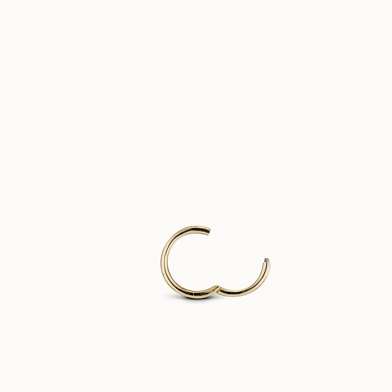 24k Endless Hoop 10mm Hypoallergenic Earrings | Rowan