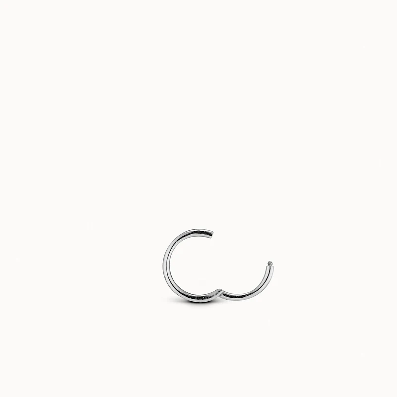24k Endless Hoop 10mm Hypoallergenic Earrings | Rowan