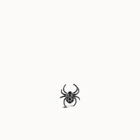 Spider CZ Stud Hypoallergenic Earrings | Rowan