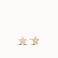 Star Micro Pavé Studs Hypoallergenic Earrings | Rowan