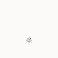 14k Flat Back Starburst Diamond Stud Hypoallergenic Earrings | Rowan