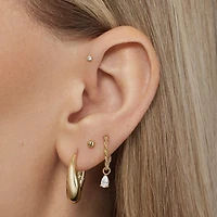 Pear CZ Charms Hypoallergenic Earrings | Rowan
