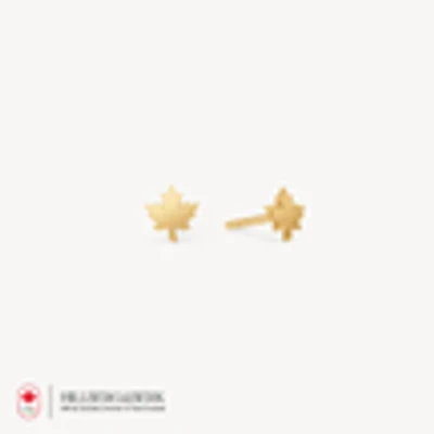 10k Maple Leaf Stud Earrings