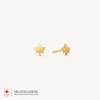 10k Maple Leaf Stud Earrings