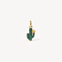 Cactus Charm
