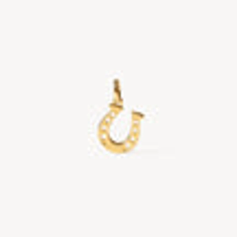 Reversible Horseshoe Charm