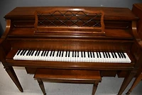 Schafer & Sons Console