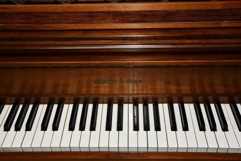 Schafer & Sons Console