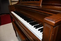 Schafer & Sons Console