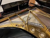 Steinway & Sons Model B