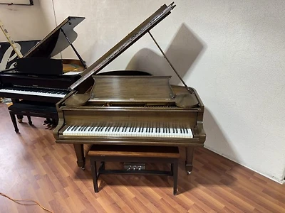 Steinway & Sons Model O
