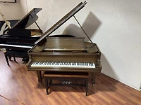 Steinway & Sons Model O