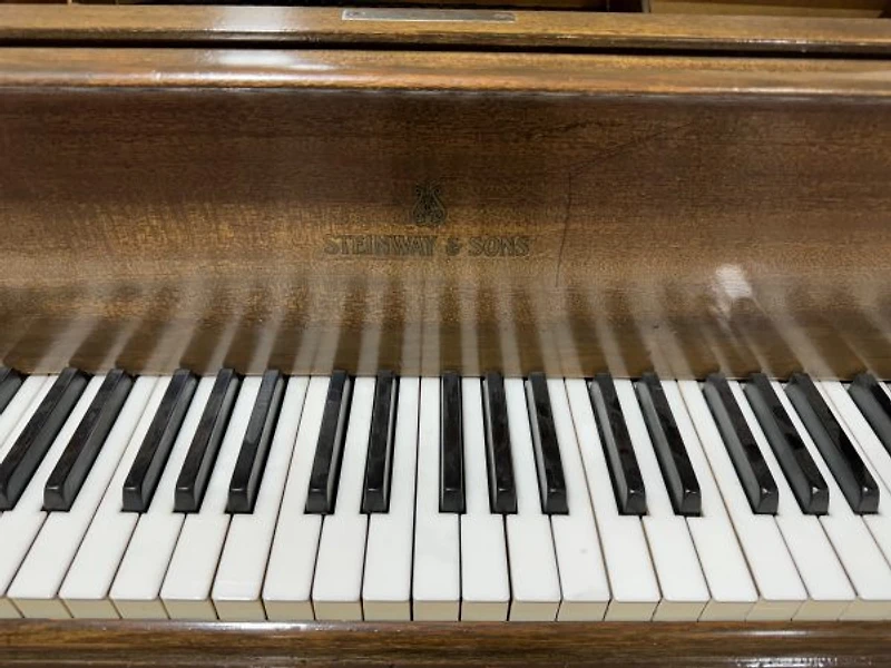 Steinway & Sons Model O
