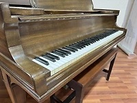 Steinway & Sons Model O