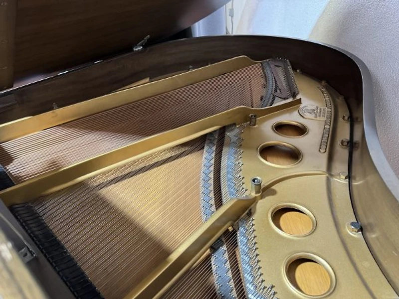 Steinway & Sons Model O