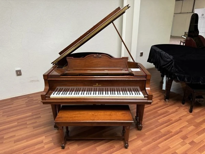 Steinway & Sons Model M (Louis XVI)