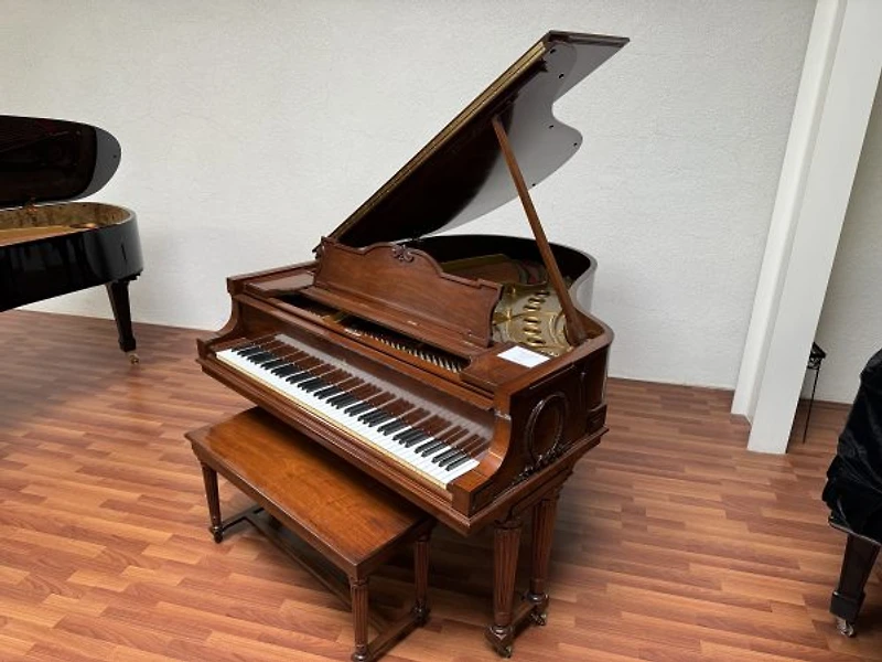 Steinway & Sons Model M (Louis XVI)