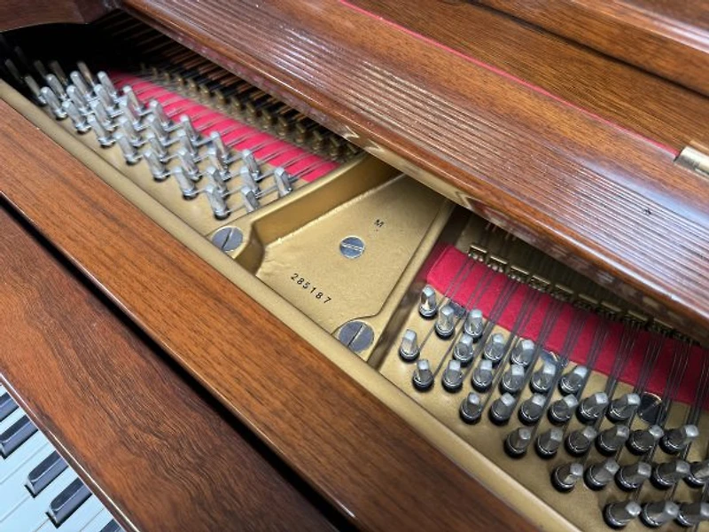 Steinway & Sons Model M (Louis XVI)