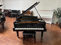 Steinway & Sons Model O